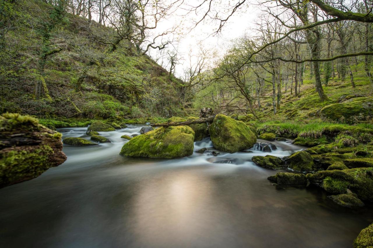 Charming Riverside Cottage In Snowdonia National Park Tanygrisiau Εξωτερικό φωτογραφία